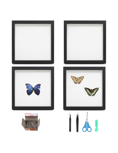 Kit de Exhibición de Insectos QoTang - 4 Cajas con Accesorios
