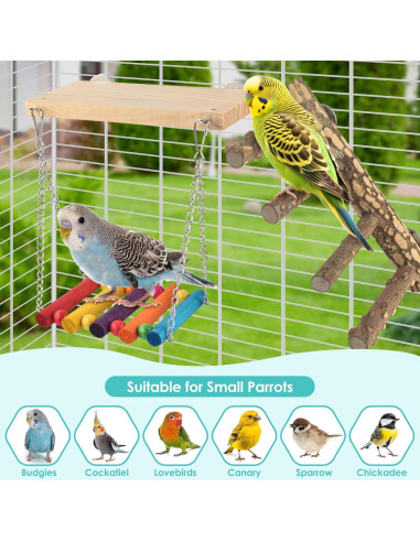 Juguetes para Aves DBNESS 3 en 1: Escalera, Columpio y Plataforma