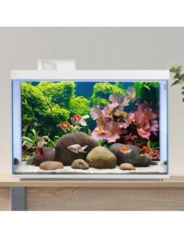 Fondo de Acuario 120x45 cm AWERT Plantas Acuáticas HD