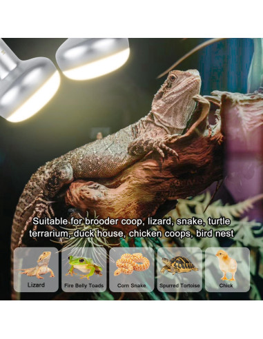 Lámpara de Calor para Reptiles Misdood 100W UVA 2 Paquete