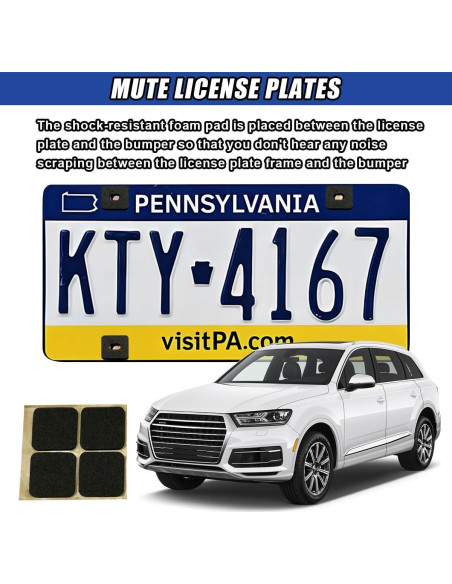 Kit de Tornillos Antirrobo DUSCOKE para Placas de Licencia 4 Pzas Kit de Tornillos Antirrobo DUSCOKE para Placas de Licencia 4 Pzas