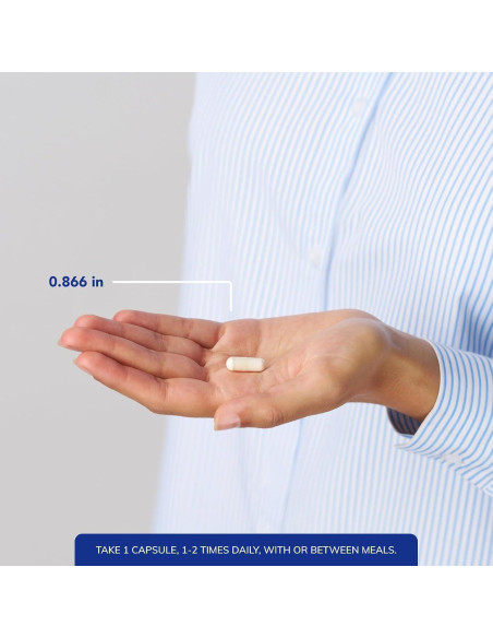 Probiotico G.I. Pure Encapsulations - 30 Cápsulas para Salud Intestinal Probiotico G.I. Pure Encapsulations - 30 Cápsulas para Salud Intestinal