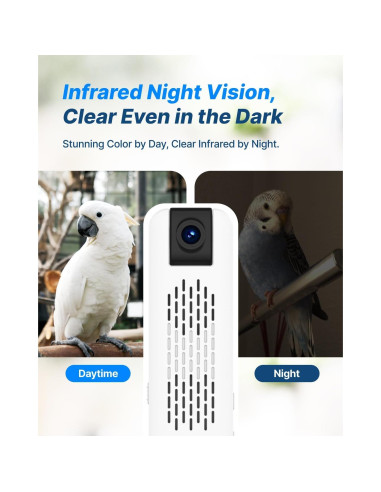 Cámara de Entrenamiento para Aves CATBOAT 2.5K HD con Voz