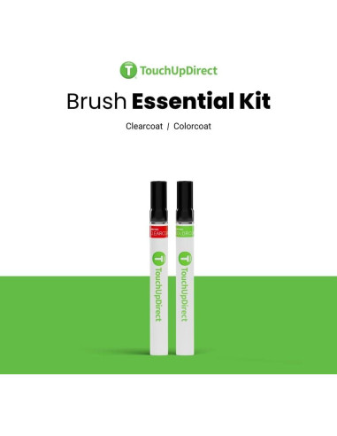 Pintura de Retoque TouchUpDirect Máximo Acero Metálico 20ml