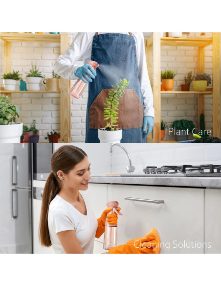Botella Spray Neblina Continua Airbee 198 ml - 2 Paquete Botella Spray Neblina Continua Airbee 198 ml - 2 Paquete