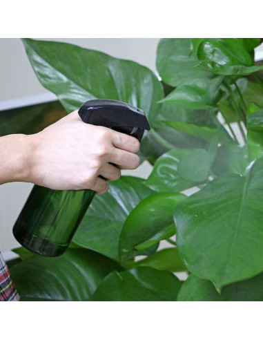 Botella de Spray para Plantas Driew 300ml Verde Claro