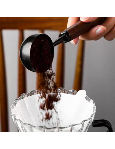 Set de 2 Cucharas Medidoras de Café Acero Inoxidable AddLotLot