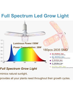 Kit Completo Carpa de Cultivo iMeshbean 61x61x140cm LED 38W 2