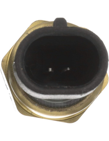 Sensor de Temperatura de Refrigerante Delphi TS10076 - Rango -40C a +125C