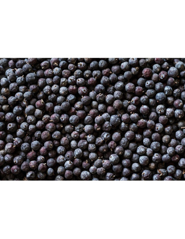 Bayas de Enebro Orgánicas 16Oz - Cosecha Silvestre Real