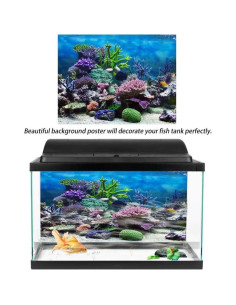 Fondo de Acuario Filfeel 61x41cm PVC Alta Definición 2
