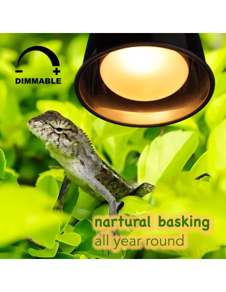 Bombilla de Calor UVA 100W ReptiKing para Reptiles Bombilla de Calor UVA 100W ReptiKing para Reptiles