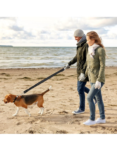 Arnés de Perro Heclia para Coche Ajustable Nylon Negro