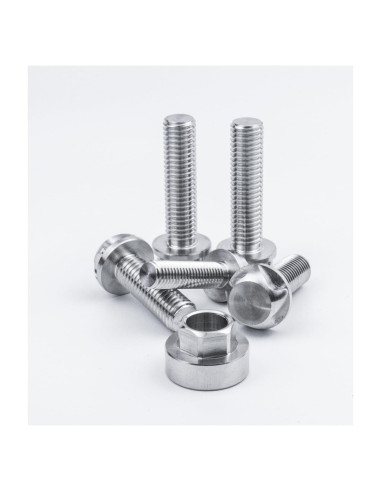 Tornillos de Seguridad VOSANTU 1/4-20-1.27cm Acero Inoxidable