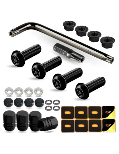 Tornillos Antirrobo para Placa de Matrícula M6 Acero Inoxidable
