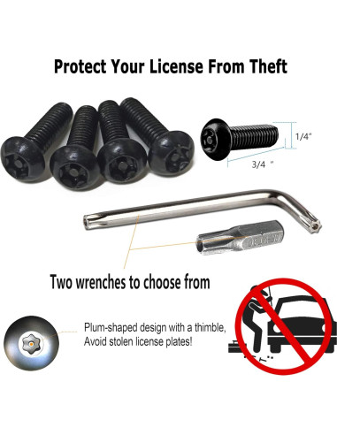 Tornillos Antirrobo para Placa de Matrícula M6 Acero Inoxidable