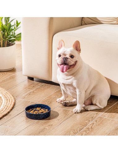 Tazón de Cerámica para Perros vancasso 0.6 Tazas Azul