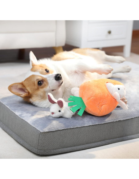 Juguete de peluche interactivo para perros Amazon Basics 5 piezas Juguete de peluche interactivo para perros Amazon Basics 5 piezas