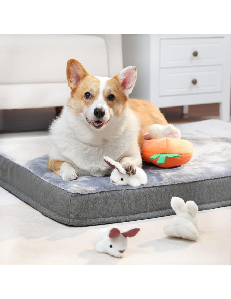 Juguete de peluche interactivo para perros Amazon Basics 5 piezas Juguete de peluche interactivo para perros Amazon Basics 5 piezas