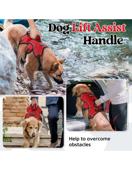 Arnés para Perros Rabbitgoo Grande Rojo Acolchado Reflectante Arnés para Perros Rabbitgoo Grande Rojo Acolchado Reflectante