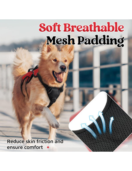 Arnés para Perros Rabbitgoo Grande Rojo Acolchado Reflectante Arnés para Perros Rabbitgoo Grande Rojo Acolchado Reflectante