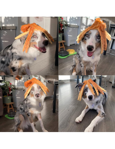 Juguetes para Perros HGB Pulpo Sin Relleno Paquete de 2
