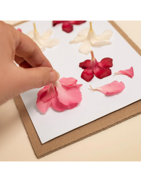 Papel para Prensar Flores PATIKIL 40 x 30 cm 30 Hojas Papel para Prensar Flores PATIKIL 40 x 30 cm 30 Hojas