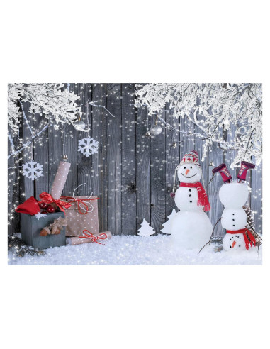 Fondo de Fotografía Navidad CYLYH 210x150 cm Copo de Nieve