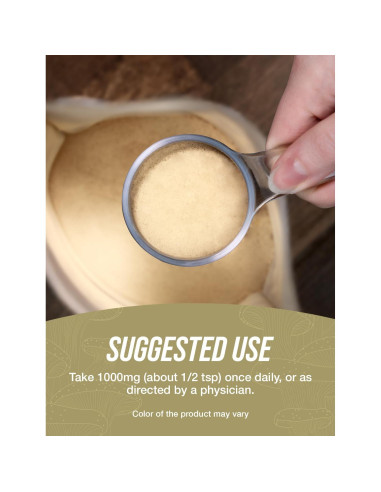 Extracto de Hongo Reishi en Polvo BulkSupplements 500g