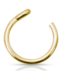 Anillo de Nariz Falso Clip On 20g - Oro Lleno 14k - 6mm 2