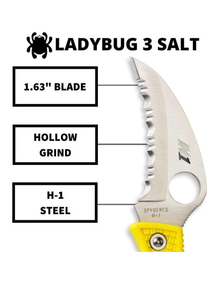 Cuchillo Plegable Spyderco Ladybug 3 Salt H-1 Amarillo 4.8 cm Cuchillo Plegable Spyderco Ladybug 3 Salt H-1 Amarillo 4.8 cm