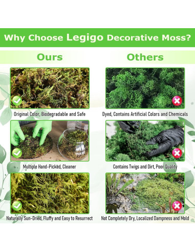 Musgo Verde Natural Legigo 0.59 kg para Manualidades y Decoración