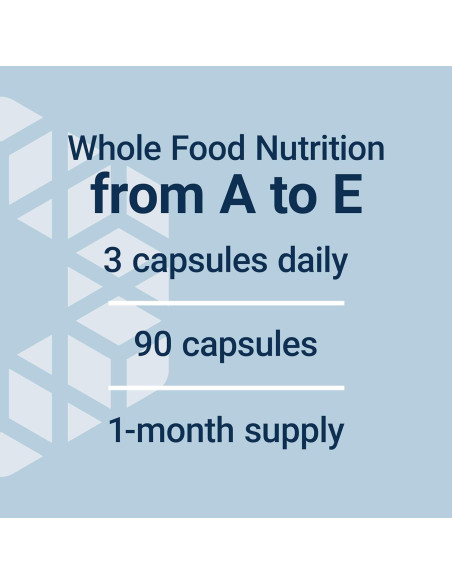 Multivitamínico Life Extension 90 Cápsulas Vegetales Sin Gluten Multivitamínico Life Extension 90 Cápsulas Vegetales Sin Gluten