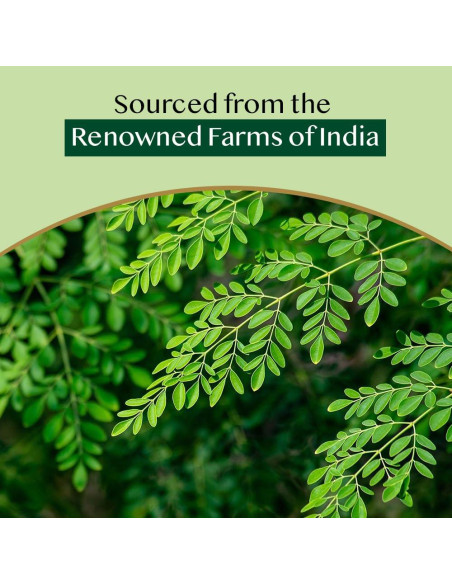 Bolsitas de Té de Moringa VAHDAM 100 Unidades Ecológicas Bolsitas de Té de Moringa VAHDAM 100 Unidades Ecológicas