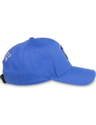 Gorra Azul Pokémon GO TCG - Ajustable - Adulto