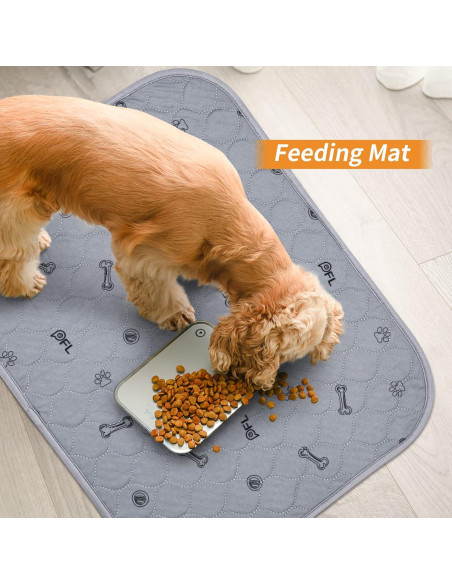 Alfombrillas Lavables para Perros PICK FOR LIFE 45.7x61cm 2 Piezas Alfombrillas Lavables para Perros PICK FOR LIFE 45.7x61cm 2 Piezas