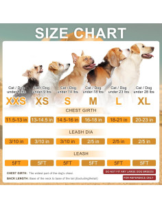 Arnés y Correa para Perros BEAUTYZOO Pequeño Fresa Reflectante 2