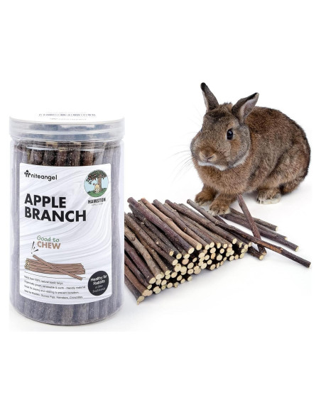 Juguetes de Masticar Niteangel para Conejos y Hámsters - Rama de Manzana Juguetes de Masticar Niteangel para Conejos y Hámsters - Rama de Manzana