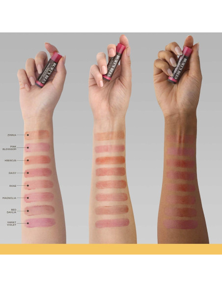 Bálsamo Labial Tinte Natural Burt's Bees Violeta Dulce 20g Bálsamo Labial Tinte Natural Burt's Bees Violeta Dulce 20g