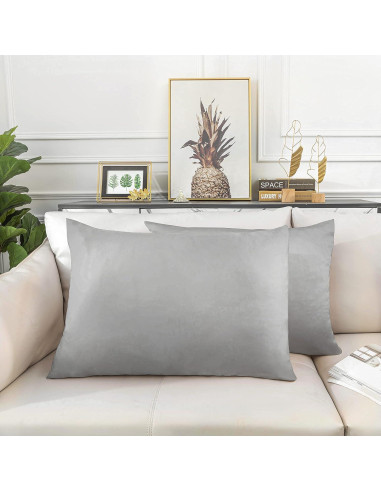 Funda de Almohada de Seda Sutuo Home 2 Pack 100% Morera 51x66 cm Gris
