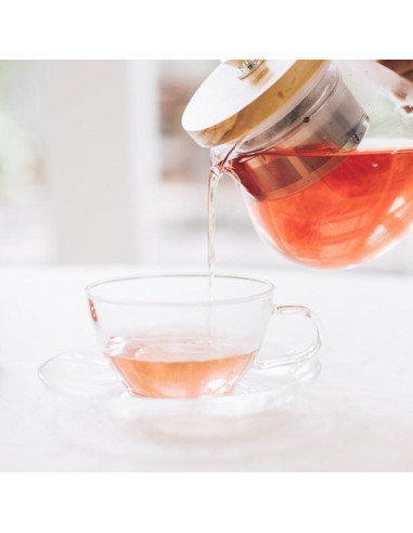 Juego de Taza y Plato Hario 230ml Vidrio Transparente