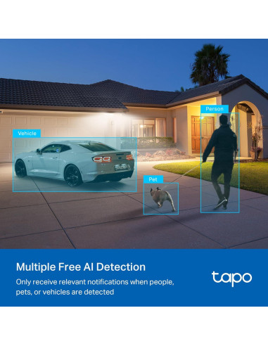 Cámara de Seguridad Wi-Fi Exterior TP-Link Tapo C520WS 2K