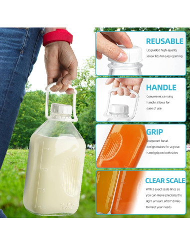 Paquete de 2 botellas de vidrio 1.9L con tapa hermética Absovetu