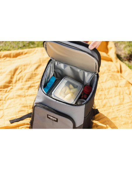 Bloque de Hielo Reutilizable Igloo Maxcold 2PK Grande Bloque de Hielo Reutilizable Igloo Maxcold 2PK Grande