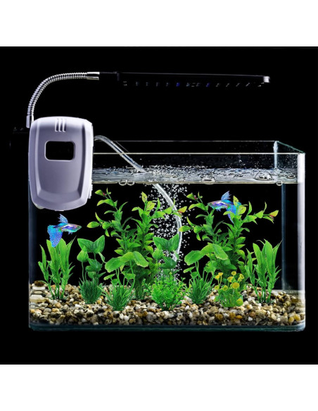 Decoraciones para Acuarios PietyPet - 10 Plantas Verdes Decoraciones para Acuarios PietyPet - 10 Plantas Verdes