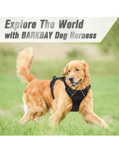 Arnés para Perros BARKBAY Mediano Negro Reflectante