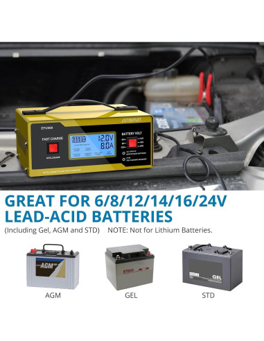 Cargador de Batería Automotriz AUTOUTLET AM551eu 6-24V 10A
