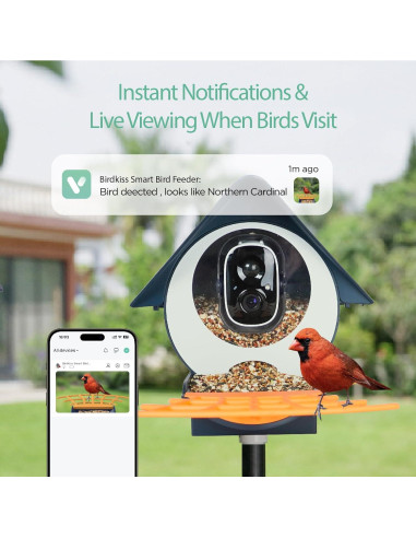 Comedero Inteligente Birdkiss con Cámara HD y Panel Solar