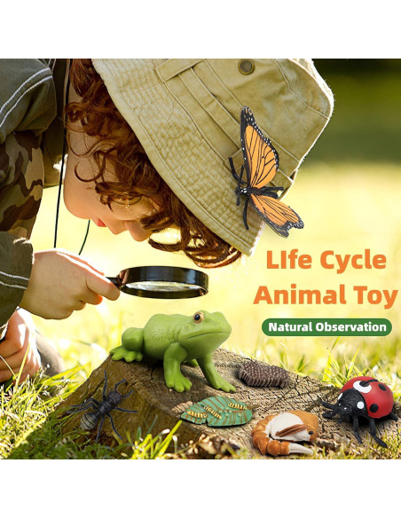 Juguete Educativo Ciclo de Vida Insectos MIKNEKE 3 Figuras Juguete Educativo Ciclo de Vida Insectos MIKNEKE 3 Figuras