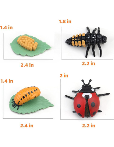 Juguete Educativo Ciclo de Vida Insectos MIKNEKE 3 Figuras